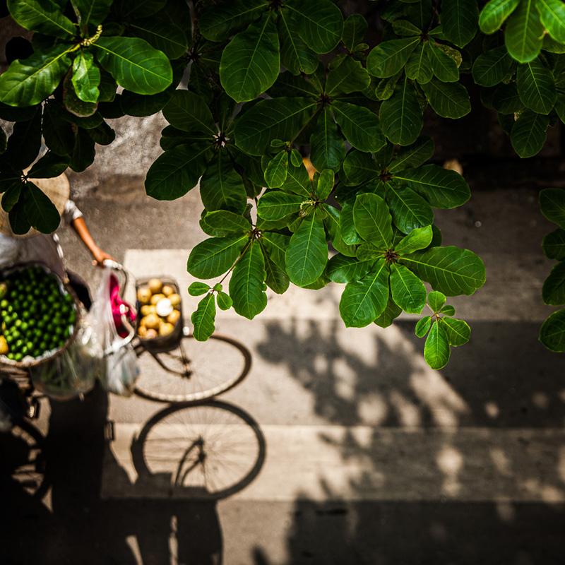 Blog - Vietnam